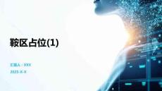 鞍區(qū)占位(1)