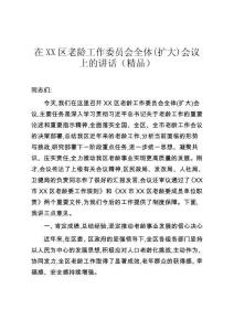 在XX區(qū)老齡工作委員會全體(擴(kuò)大)會議上的講話（精品）