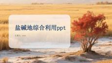 鹽堿地綜合利用：從治理到可持續發展的中國實踐