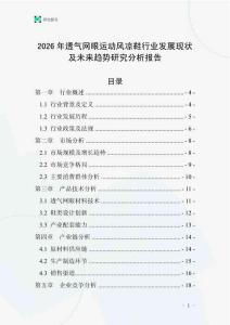 2026年透氣網(wǎng)眼運(yùn)動(dòng)風(fēng)涼鞋行業(yè)發(fā)展現(xiàn)狀及未來趨勢(shì)研究分析報(bào)告