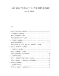 2025-2030中國聚合支付行業(yè)前景預測及發(fā)展戰(zhàn)略建議研究報告