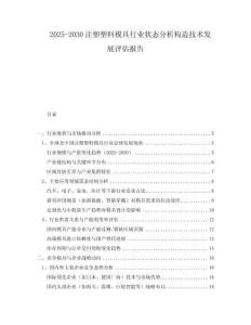 2025-2030注塑塑料模具行業(yè)狀態(tài)分析構造技術發(fā)展評估報告