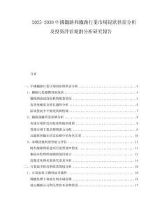 2025-2030中國(guó)鐵路和鐵路行業(yè)市場(chǎng)現(xiàn)狀供需分析及投資評(píng)估規(guī)劃分析研究報(bào)告