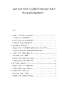 2025-2030中國磨刀石市場競爭戰(zhàn)略規(guī)劃與未來營銷渠道策略研究研究報告