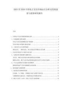 2025至2030中國電子支付市場運(yùn)行分析及發(fā)展前景與投資研究報(bào)告