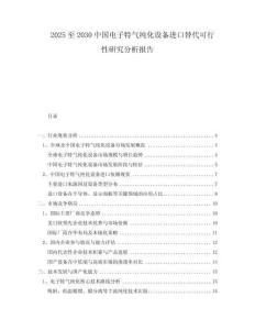 2025至2030中國電子特氣純化設備進口替代可行性研究分析報告