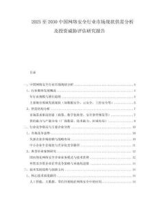2025至2030中國網(wǎng)絡安全行業(yè)市場現(xiàn)狀供需分析及投資威脅評估研究報告