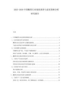 2025-2030中國酮類行業(yè)現(xiàn)狀調查與前景策略分析研究報告