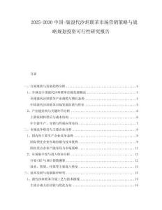 2025-2030中國-版溴代沙坦聯苯市場營銷策略與戰略規劃投資可行性研究報告