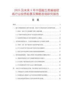2025及未來5年中國超五類接插軟線行業(yè)投資前景及策略咨詢研究報告