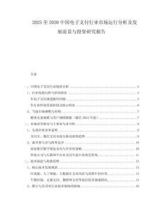 2025至2030中國電子支付行業(yè)市場運(yùn)行分析及發(fā)展前景與投資研究報(bào)告