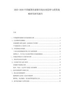 2025-2030中國(guó)磁簧傳感器市場(chǎng)未來(lái)趨勢(shì)與投資戰(zhàn)略研究研究報(bào)告