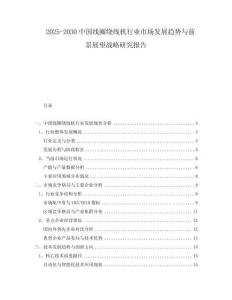 2025-2030中國(guó)線圈繞線機(jī)行業(yè)市場(chǎng)發(fā)展趨勢(shì)與前景展望戰(zhàn)略研究報(bào)告