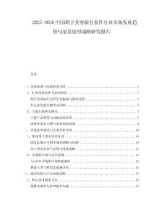 2025-2030中國胡子美容旅行套件行業(yè)市場發(fā)展趨勢與前景展望戰(zhàn)略研究報告
