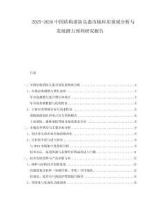 2025-2030中國結(jié)構(gòu)消防頭盔市場應(yīng)用領(lǐng)域分析與發(fā)展?jié)摿︻A(yù)判研究報告