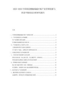 2025-2030中國頸肩腰腿痛磁療貼產(chǎn)業(yè)營銷創(chuàng)新與供需平衡狀況分析研究報(bào)告