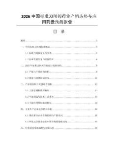 2026中國標準刀閘閥行業(yè)產(chǎn)銷態(tài)勢與應用前景預測報告