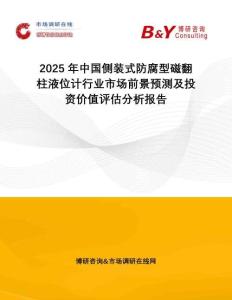 2025年中國(guó)側(cè)裝式防腐型磁翻柱液位計(jì)行業(yè)市場(chǎng)前景預(yù)測(cè)及投資價(jià)值評(píng)估分析報(bào)告