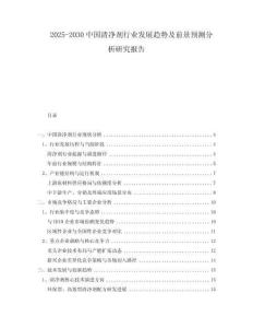 2025-2030中國(guó)清凈劑行業(yè)發(fā)展趨勢(shì)及前景預(yù)測(cè)分析研究報(bào)告