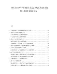 2025至2030中國智慧城市大腦系統(tǒng)集成商市場份額與項(xiàng)目實(shí)施風(fēng)險(xiǎn)報(bào)告