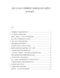 2025至2030中國物聯(lián)網(wǎng)產(chǎn)業(yè)鏈供需分析與投資風(fēng)險(xiǎn)評(píng)估報(bào)告