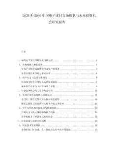 2025至2030中國電子支付市場現(xiàn)狀與未來投資機會研究報告