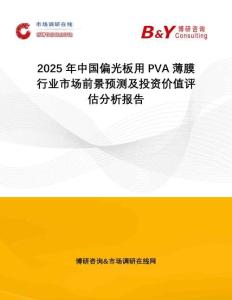 2025年中國偏光板用PVA薄膜行業(yè)市場前景預測及投資價值評估分析報告