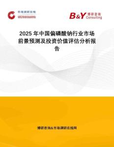 2025年中國(guó)偏磷酸鈉行業(yè)市場(chǎng)前景預(yù)測(cè)及投資價(jià)值評(píng)估分析報(bào)告