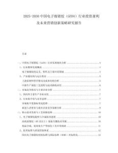 2025-2030中國電子級鍺烷（GEH4）行業(yè)投資盈利及未來營銷創(chuàng)新策略研究報告