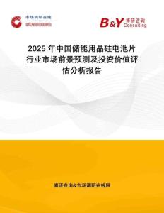 2025年中國儲能用晶硅電池片行業(yè)市場前景預(yù)測及投資價(jià)值評估分析報(bào)告