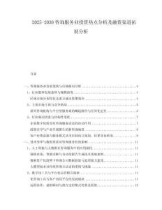 2025-2030咨詢服務(wù)業(yè)投資熱點(diǎn)分析及融資渠道拓展分析