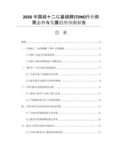 2026中國叔十二烷基硫醇(TDM)行業(yè)供需態(tài)勢與發(fā)展趨勢預測報告