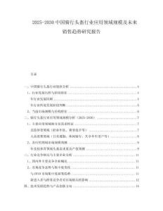 2025-2030中國騎行頭盔行業(yè)應用領域規(guī)模及未來銷售趨勢研究報告