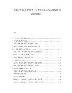 2025至2030中國電子支付市場格局與未來發(fā)展趨勢研究報告