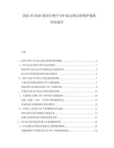2025至2030基因?qū)＠蠸NP標(biāo)記的法律保護(hù)現(xiàn)狀評(píng)估報(bào)告