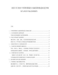 2025至2030中國智慧城市大腦系統(tǒng)集成商競(jìng)爭(zhēng)格局與項(xiàng)目中標(biāo)分析報(bào)告