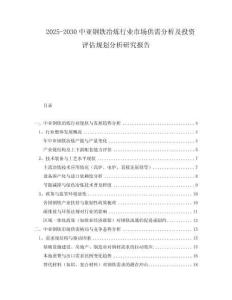 2025-2030中亞鋼鐵冶煉行業(yè)市場供需分析及投資評估規(guī)劃分析研究報告