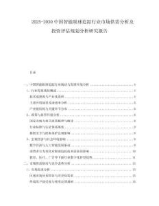 2025-2030中國智能眼球追蹤行業(yè)市場供需分析及投資評估規(guī)劃分析研究報告