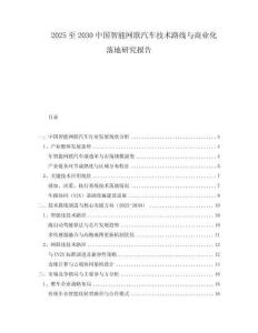 2025至2030中國智能網(wǎng)聯(lián)汽車技術(shù)路線與商業(yè)化落地研究報告