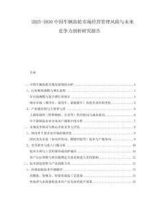 2025-2030中國車輛齒輪市場經(jīng)營管理風險與未來競爭力剖析研究報告