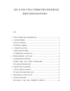 2025至2030中國(guó)無(wú)人駕駛航空器行業(yè)供需格局發(fā)展路徑及投資風(fēng)險(xiǎn)評(píng)估報(bào)告