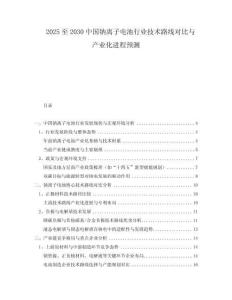 2025至2030中國(guó)鈉離子電池行業(yè)技術(shù)路線對(duì)比與產(chǎn)業(yè)化進(jìn)程預(yù)測(cè)