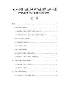 2026中國電池組化成和分級系統行業運行狀況與投資前景預測報告