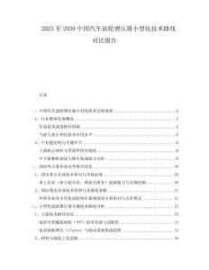 2025至2030中國(guó)汽車渦輪增壓器小型化技術(shù)路線對(duì)比報(bào)告