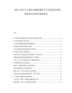 2025-2030中小微企業(yè)融資服務(wù)平臺市場需求供給趨勢研判及投資前瞻研究