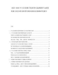 2025-2030中小企業(yè)數(shù)字化轉(zhuǎn)型可選擇路徑與政策優(yōu)惠力度分析及轉(zhuǎn)型失敗風險防范策略研究報告