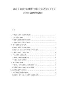 2025至2030中國儲能電池行業(yè)市場發(fā)展分析及前景預(yù)判與投資研究報(bào)告