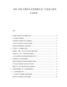 2025-2030自媒體行業(yè)變現(xiàn)模式及廣告投放與粉絲互動研究