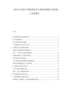2025至2030中國消毒濕巾行業(yè)技術(shù)路線與研發(fā)投入分析報告