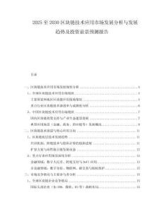 2025至2030區(qū)塊鏈技術(shù)應(yīng)用市場發(fā)展分析與發(fā)展趨勢及投資前景預(yù)測報(bào)告